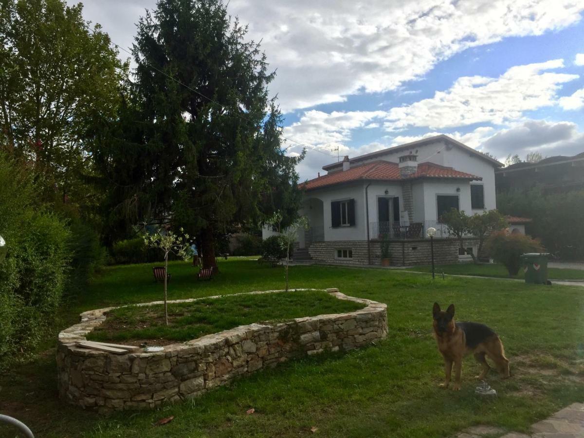 Villa Grespola Lucques Extérieur photo